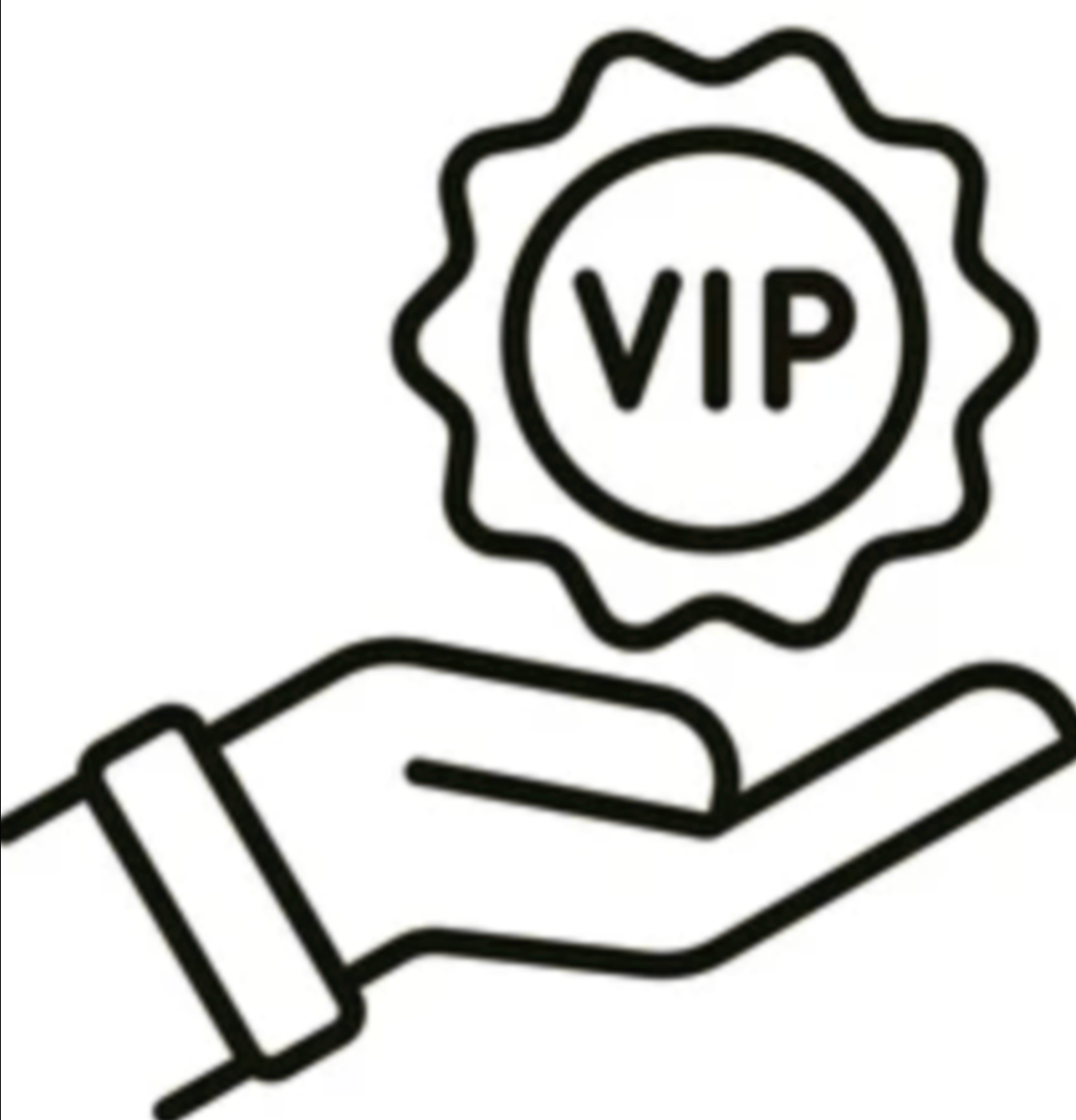 V.I.P Support